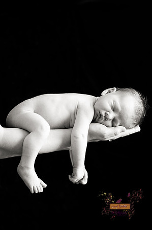 chase12 copy